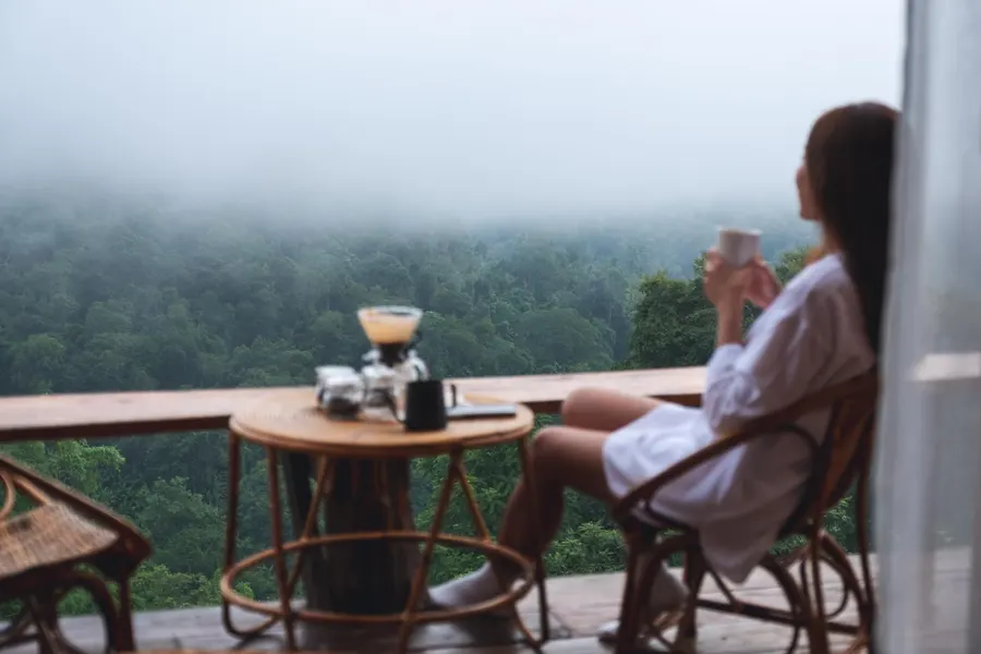 Best view of Himalaya